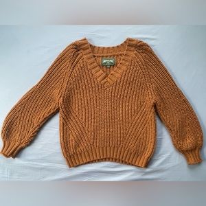 American eagle V neck brown knit sweater